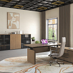 Кабинет руководителя ION