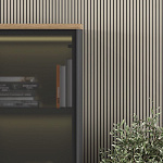 Кабинет руководителя ION