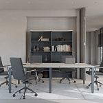 Кабинет руководителя Zion Light