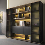 Кабинет руководителя ION