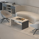 Кабинет руководителя Zion Light