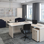 Кабинет руководителя ZOOM