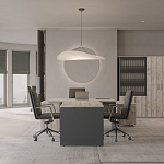 Кабинет руководителя Zion Light