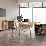 Кабинет руководителя Style Project Direct 