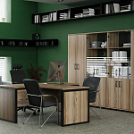 Кабинет руководителя Аргентум - М