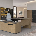 Кабинет руководителя ION