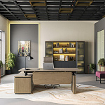 Кабинет руководителя ION