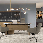 Кабинет руководителя ION