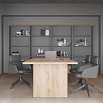 Кабинет руководителя Zion Light