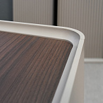 Кабинет руководителя Астон / Aston