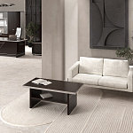 Кабинет руководителя ZOOM