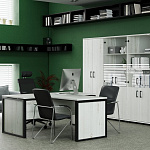 Кабинет руководителя Аргентум - М