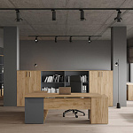 Кабинет руководителя Zion Light