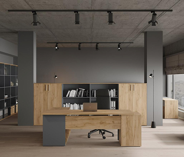 Кабинет руководителя Zion Light