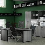 Кабинет руководителя Аргентум - М