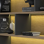 Кабинет руководителя ION