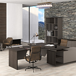 Кабинет руководителя Vilas