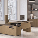 Кабинет руководителя ION