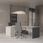 Кабинет руководителя Zion Light