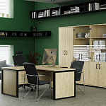 Кабинет руководителя Аргентум - М