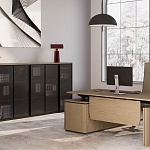 Кабинет руководителя ION