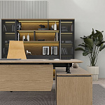 Кабинет руководителя ION