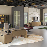 Кабинет руководителя ION