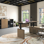 Кабинет руководителя ION