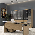 Кабинет руководителя ION